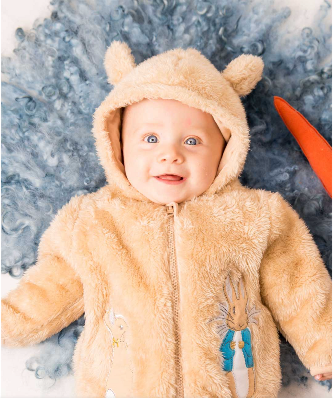 Peter Rabbit Hoodie