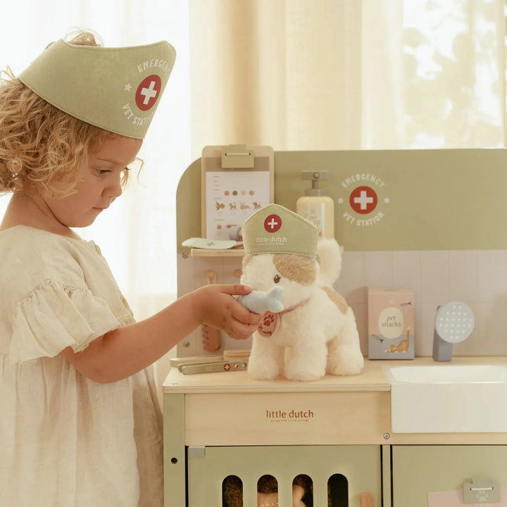 Wooden Veterinary Practice