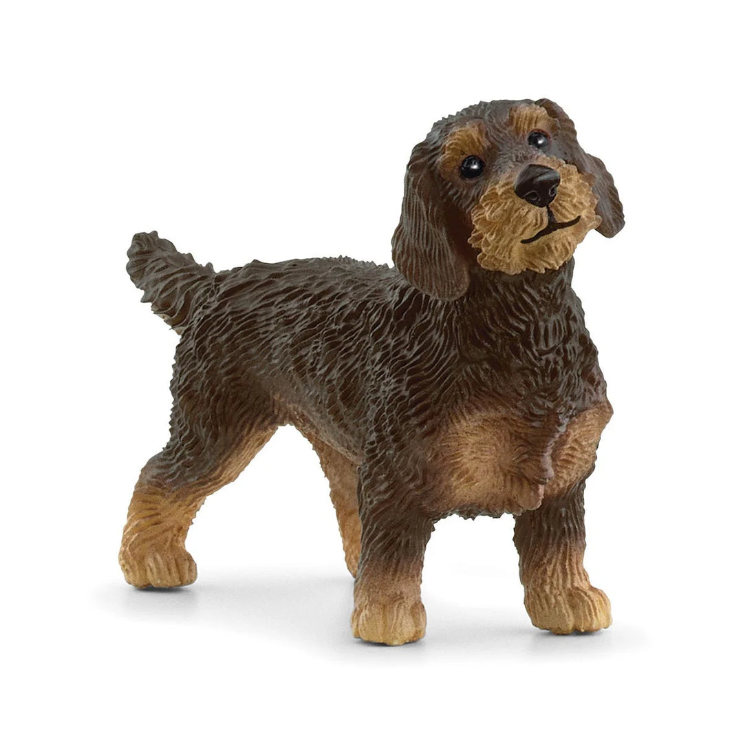 SCHLEICH Wire Haired Dachshund