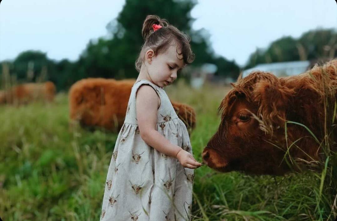 Linen Look Highland Cow Dress