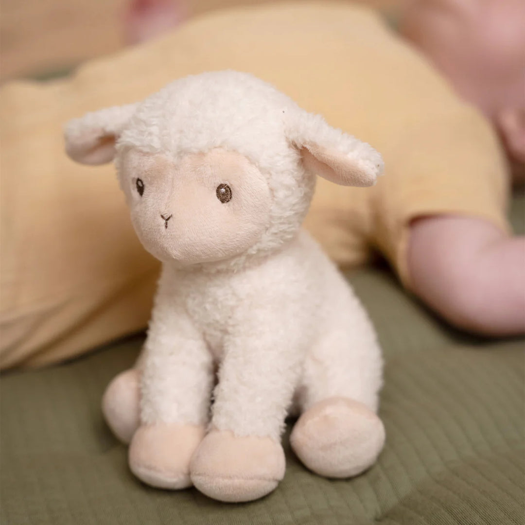 Little Dutch Cuddle Sheep