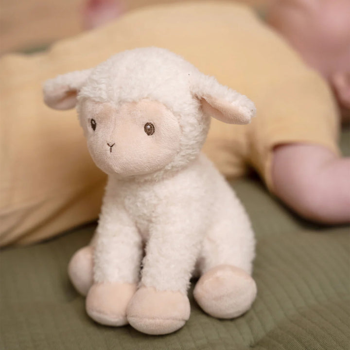 Little Dutch Cuddle Sheep