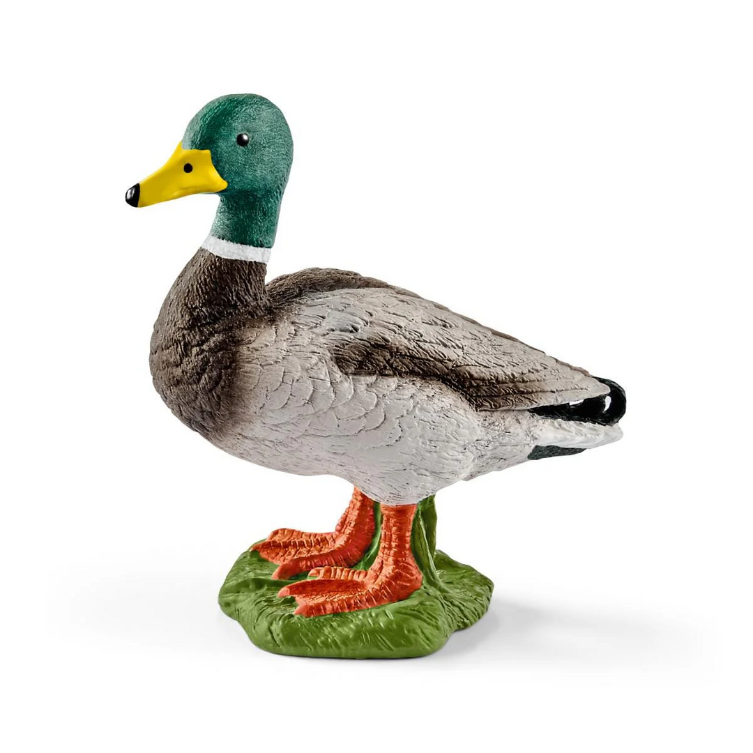 Schleich Drake Duck