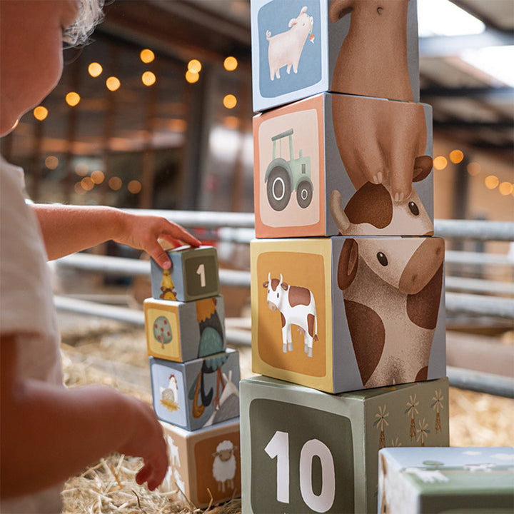 Building Blocks cardboard Little Farm FSC