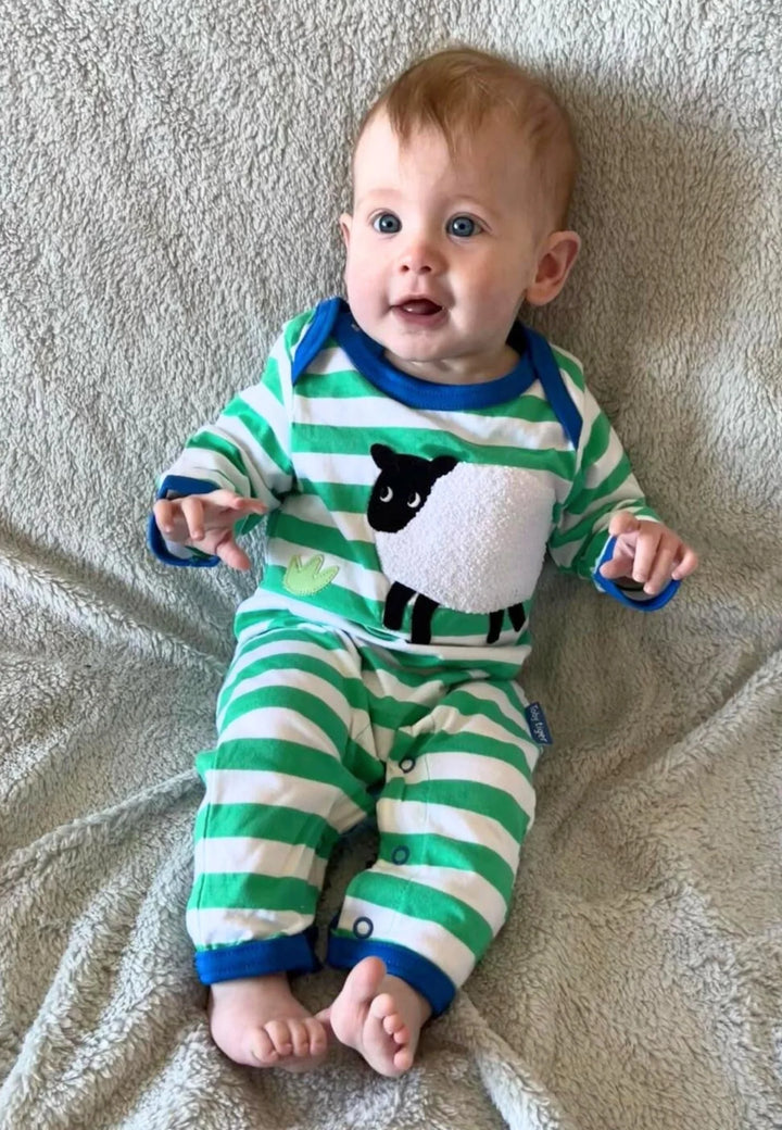 Organic Hillside Sheep Applique Babygrow