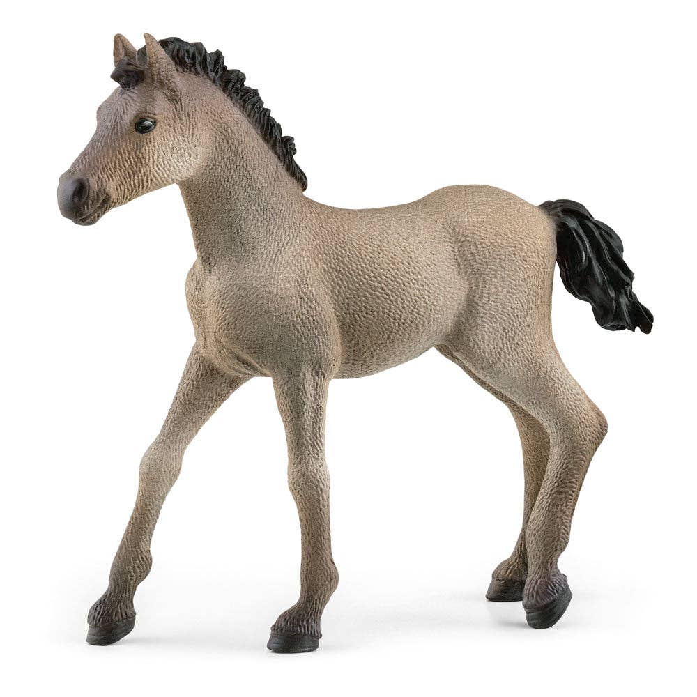 SCHLEICH Horse Club Criollo Definitivo Foal Toy Figure, 5 to